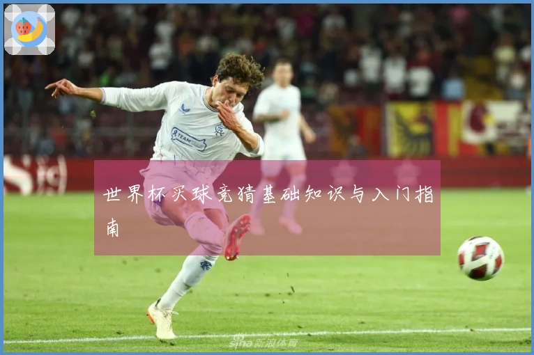 世界杯买球竞猜基础知识与入门指南