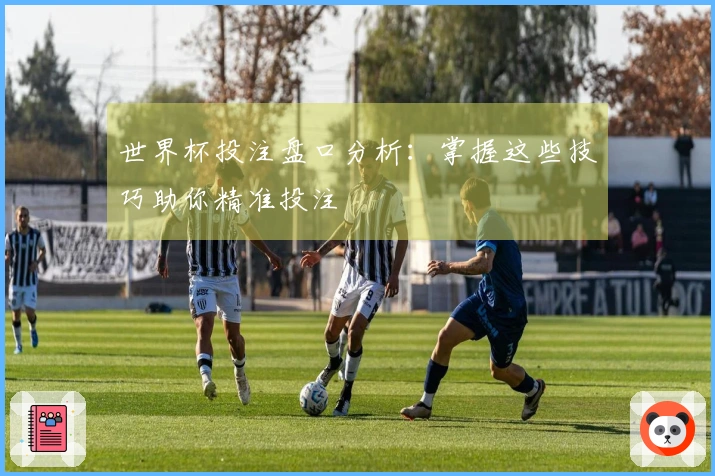 世界杯投注盘口分析：掌握这些技巧助你精准投注