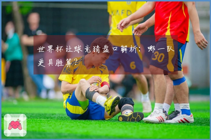 世界杯让球竞猜盘口解析：哪一队更具胜算？