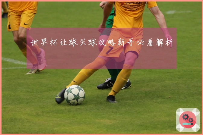 世界杯让球买球攻略新手必看解析