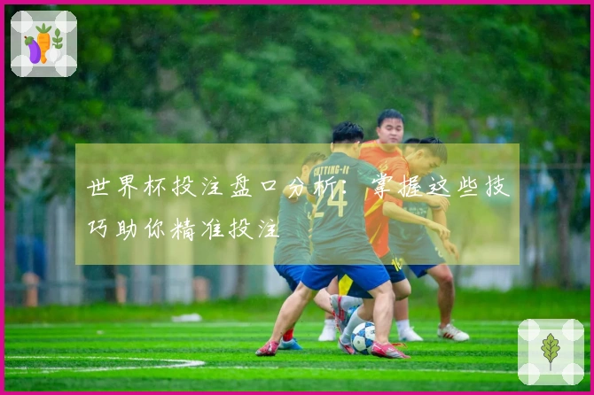 世界杯投注盘口分析：掌握这些技巧助你精准投注
